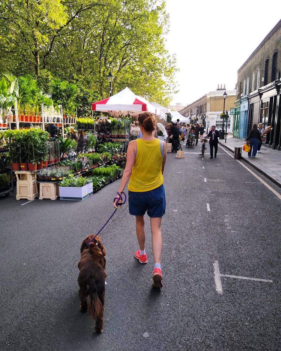Norman’s first trip to Columbia Road flower market ❤️ 🌺 🐶