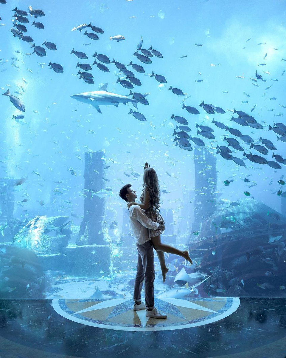 A Dubai must-visit! Glimpse of the Lost Chambers Aquarium in aquatic motion. ❤️ 📸 IG/ lisarie__ & _johannes_jd #VisitDubai
