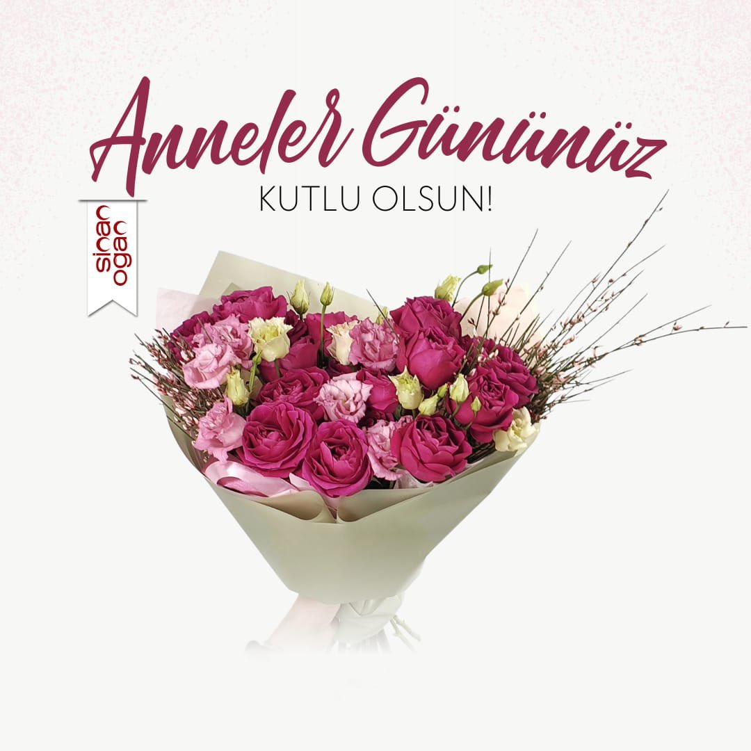 Başta Mustafa Kemal Atatürk'ün kıymetli annesi Zübeyde Hanım ve şehitlerimizin anneleri olmak üzere, ne yapsak hakkını ödeyemeyeceğimiz fedakar annelerimizin #AnnelerGünü ’nü kutluyor, ebediyete intikal etmiş bütün anneleri ve annemi rahmet ve minnetle anıyorum.