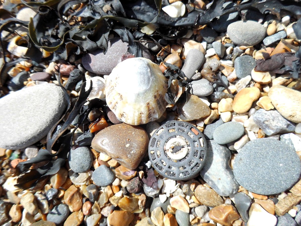 Beach Butterfly, Cooker Knob and Red Sea Glass!! #beachfinds #seaglass #cullercoats #beachcombing #butterflies #curiosities