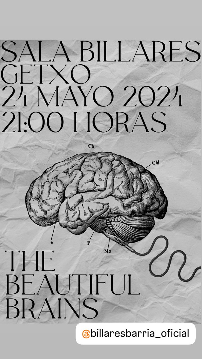 The Beautiful Brains tweet media