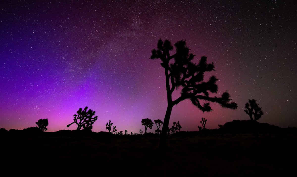 What a night in Joshua Tree National Park… Aurora’s and Tall Trees. (With a hint of the Milky Way)