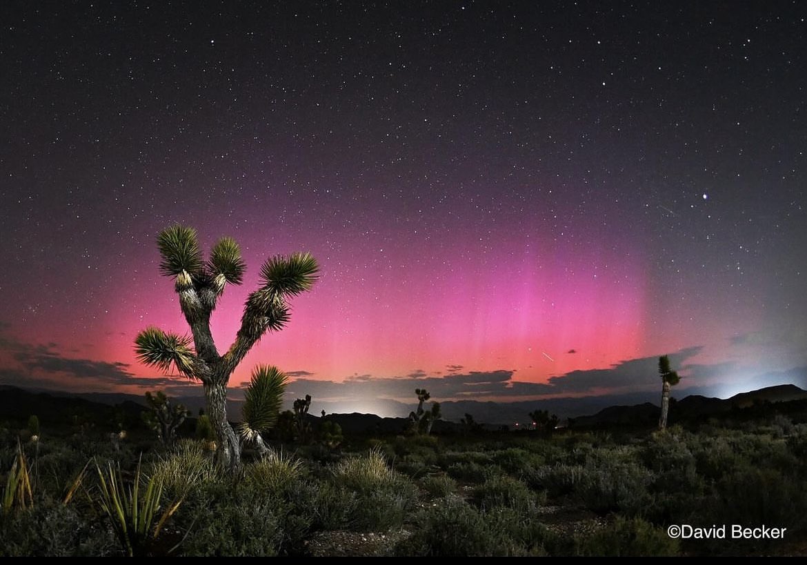 Paloma Villicana tweet media