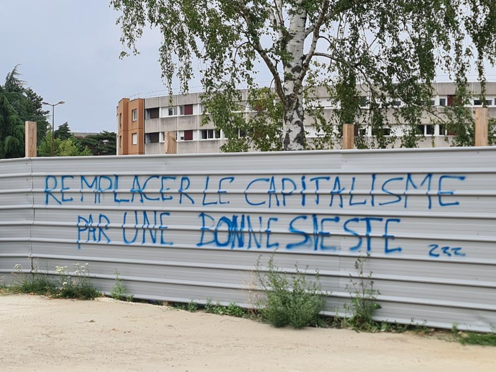 'Replace capitalism with a good nap' Spotted in Paris