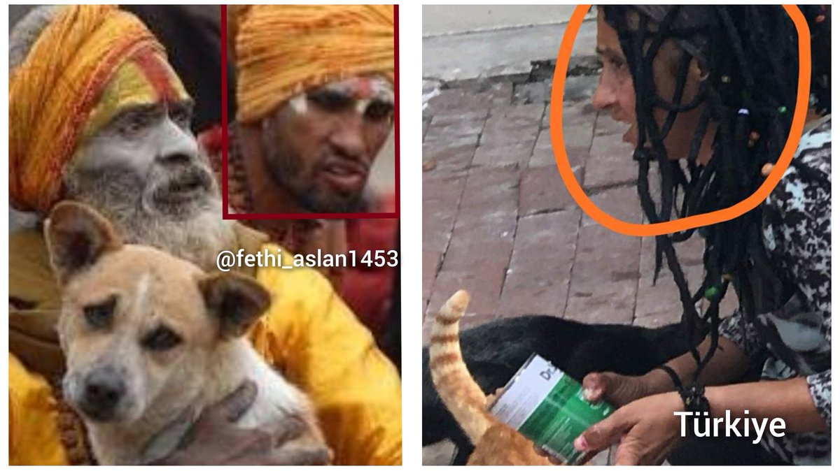 Soldaki görsel Hindistan 'dan  görüyorsunuz bu dönüşüm hayırlı bir dönüşüm değil !!!

#KöpekleriToplayın #KöpekSorunuMeclise / Başıboş Köpek