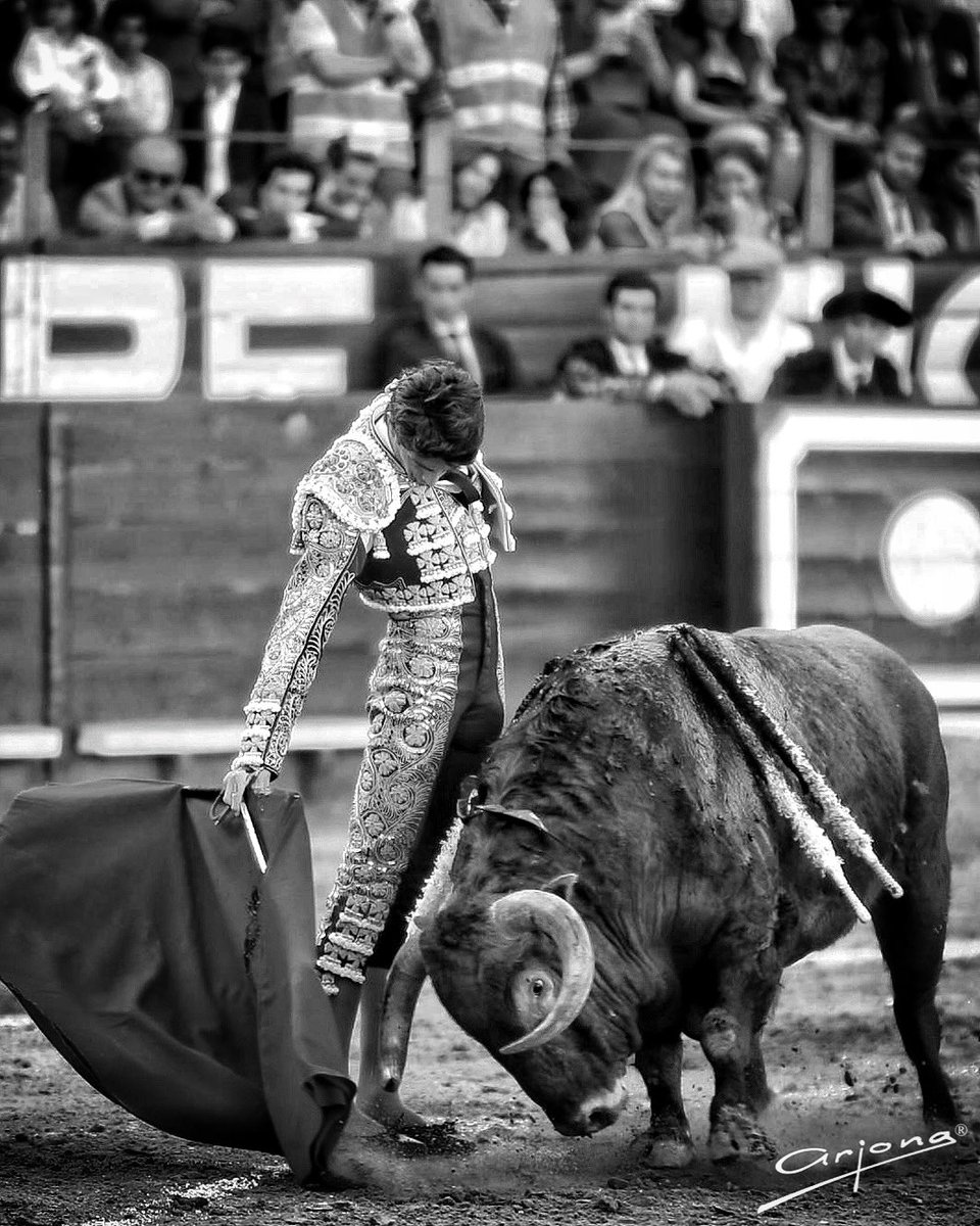 La corrida de Jerez en imágenes en la triunfaron Sebastián Castella y José Mª Manzanares cortando 2 orejas cada uno.
11/05/2024