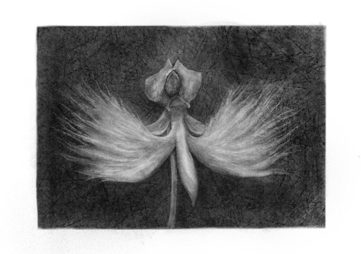 Bottom_carp's tweet image. 我的思念……