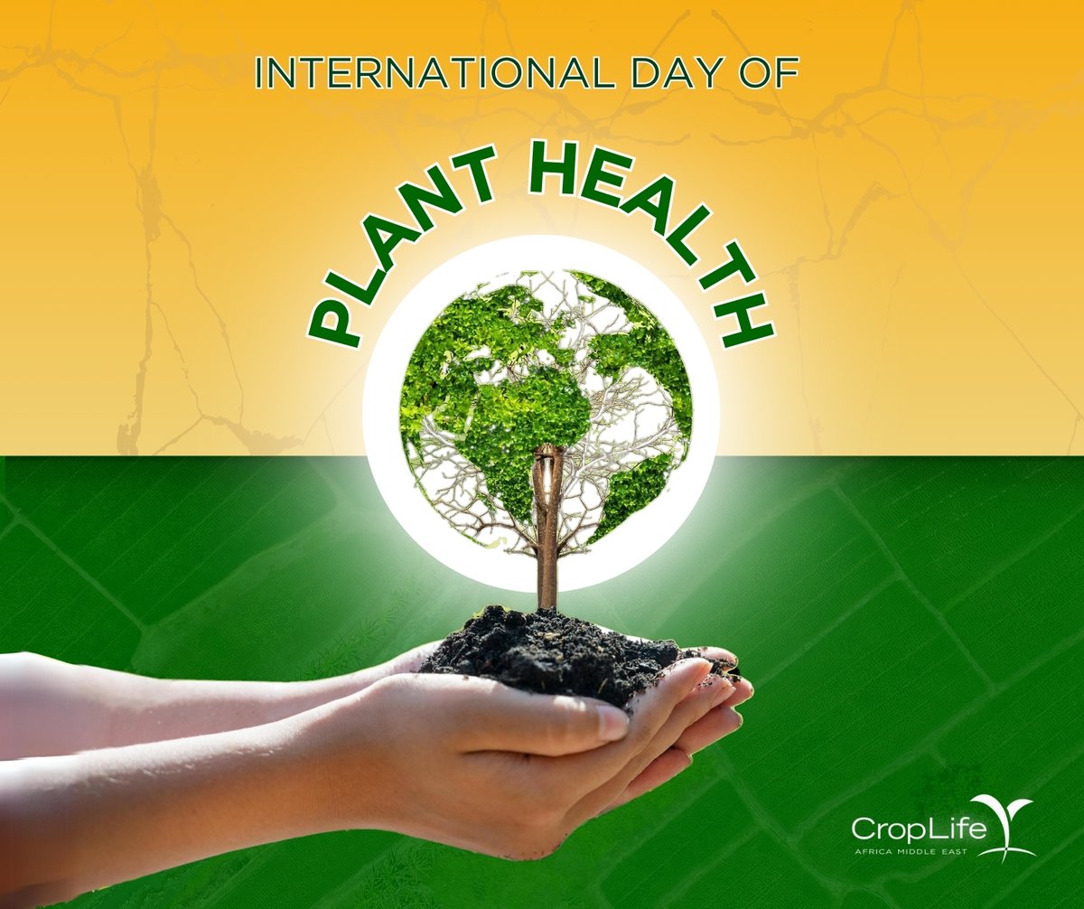 On #IntlPlantHealthDay, we're committed to safeguarding plant health in Africa and the Middle East. 🌱 Pests, diseases, and environmental stresses threaten our crops and food security. Join us in promoting sustainable practices and protecting our planet's future! #PlantHealth