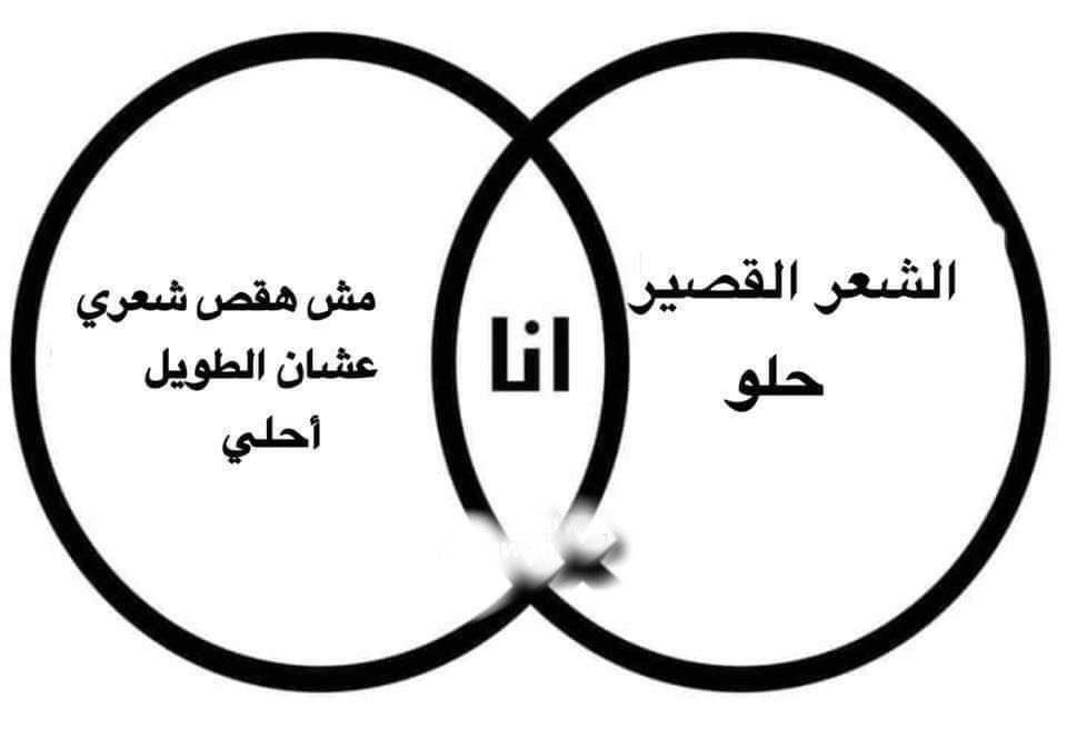 كل يوم صورة معبرة (@memesoficiial) on Twitter photo 