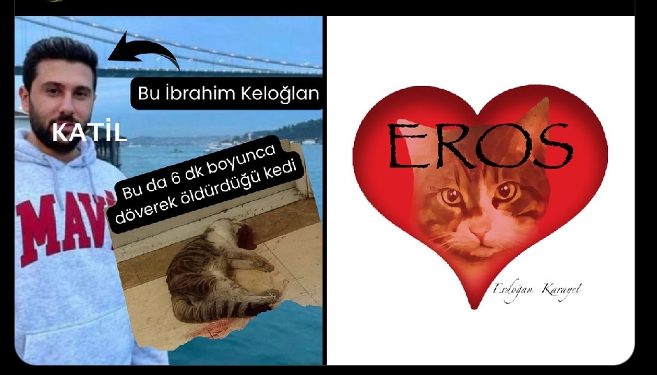 Hangi suç için, tekmelenerek öldürüldü? Soldaki insan kılıklı varlık ise verdiği ifadede yargı ile dalga geçer gibi, Eros A iftira attı. Allah lanet etsin sana cani. #ibrahimkeloğlantutuklansın