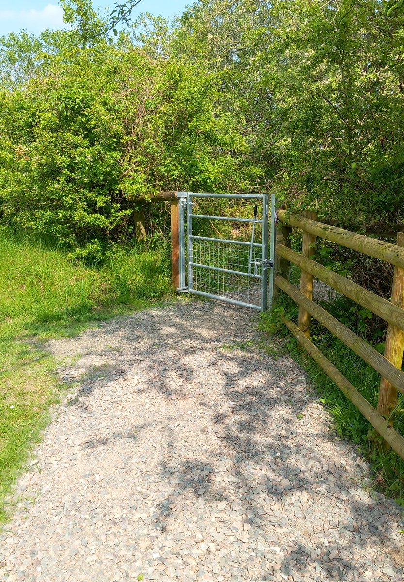 Lovely walk @BBOWT College Lake yesterday. Lots of #wildlife including a pregnant toad and ermine moth caterpillars. Also great to see #access improvements funded by @ChilternsNL thro' @DefraGovUK Access for All programme. Applications invited for 24/25: chilterns.org.uk/flagship-proje…