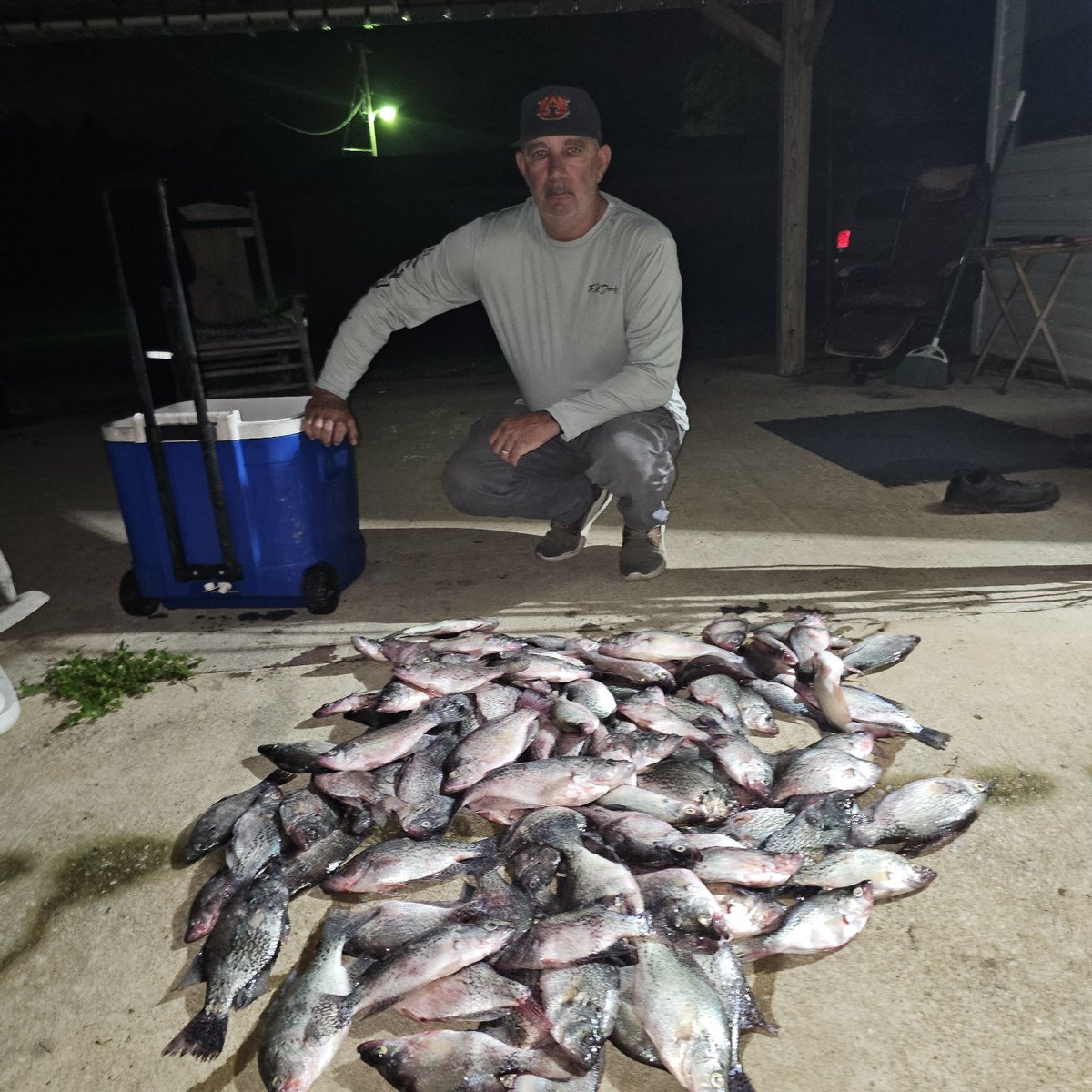 It's 3:20 am wake up you sorry butts!!! Come clean some crappie 😅 WDE!  We kilt 'em!! Again! WDE!! 🦅