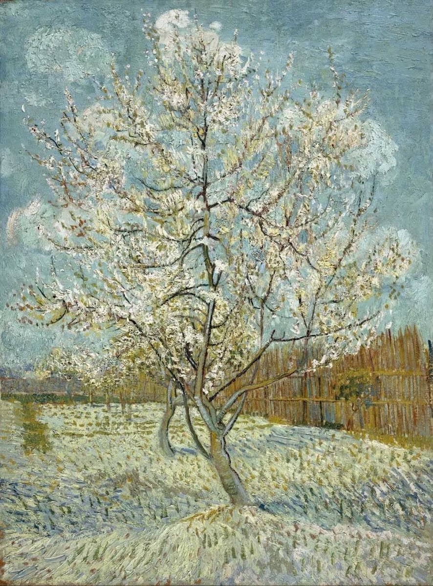 Vincent van Gogh's period in Arles is regarded as his most prolific. During the 12 months he spent there, he produced an incredible 187 paintings and drawings, including his most famous ones.📘read on: getdailyart.com
🏛 @vangoghmuseum
The Pink Peach Tree 1888