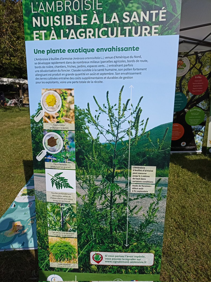 CAP Tronçais tweet media