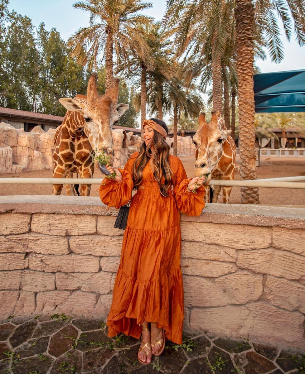 Bring your appetite for a wild time at @EmiratesParkZoo 🐆 🫕🍉 📸 anoushkalila /IG #InAbuDhabi