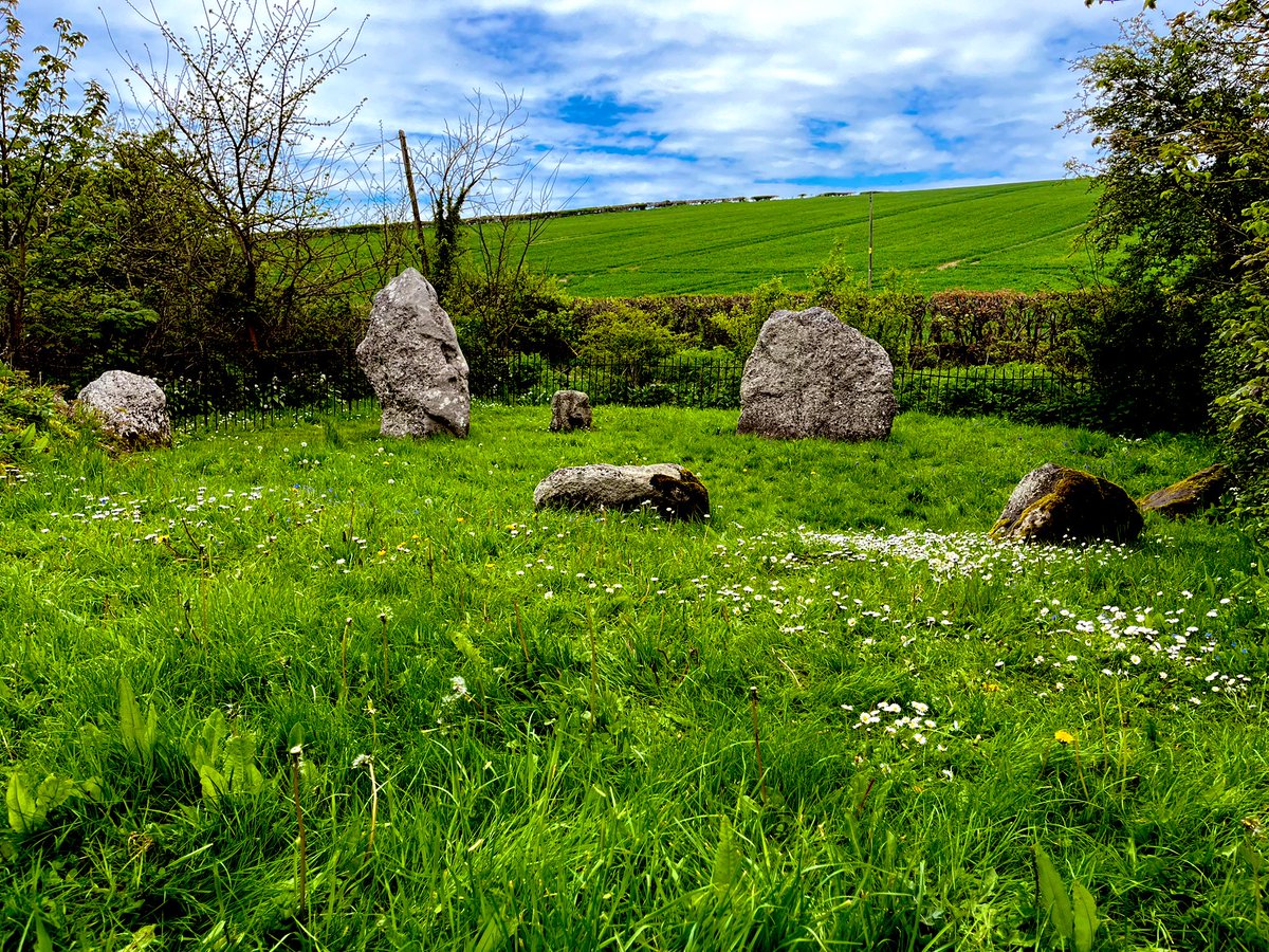 The Nine Stones of Winterbourne Abbas.
#StandingStoneSunday