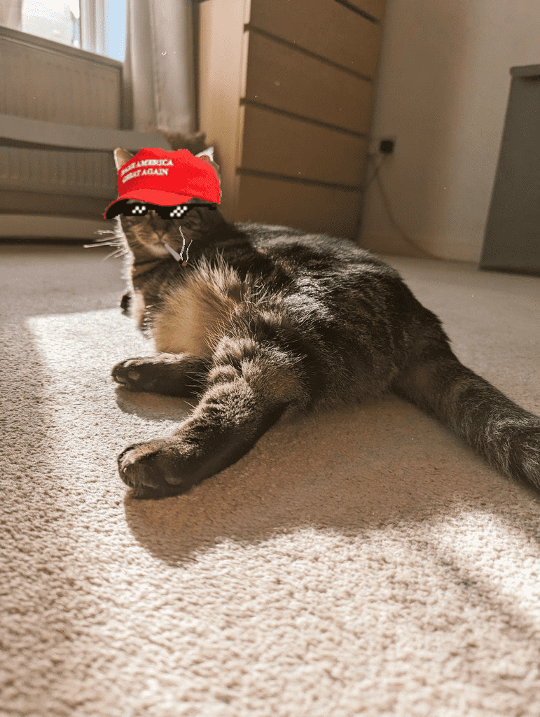 lolathecat2024's tweet photo. 🌈 Join the rainbow revolution with $Lola!

Our community is a vibrant spectrum of colors and we're painting the town green with massive gains! 🚀

#lolathecat #CAT #3LeggedCat #ELONMUSK #Aveai #DEXTools #Coingecko #CoinMarketCap #BitMart #MEXC https://t.co/E2RAReri0X