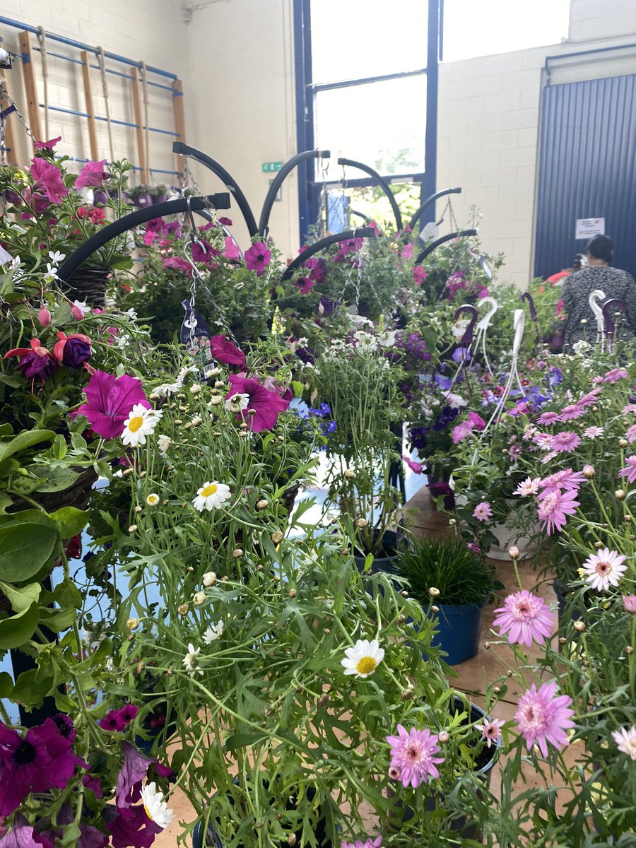 CCCPA2's tweet image. 💐CCC PA Plant Sale 2024

💐Sunday 12th May @ 10am

💐Fresh delivery of hanging baskets &amp;amp; potted plants

🍔BBQ starts @ 11am with burgers &amp;amp; sausages from @EthersonsB