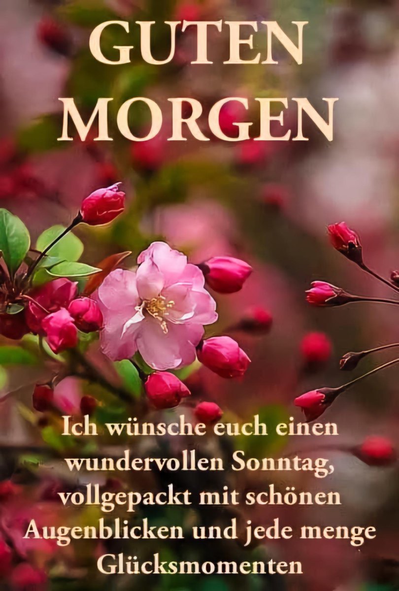 Guten Morning Twitterlings 🌞☕🫖🥐🥖🌱🎶🐦🌸❣️