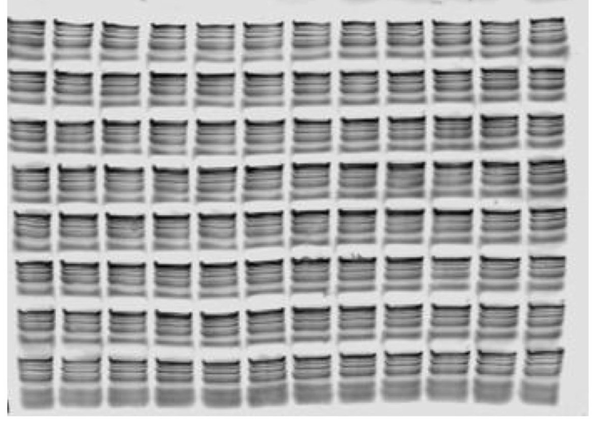 Kresten Lindorff-Larsen tweet media