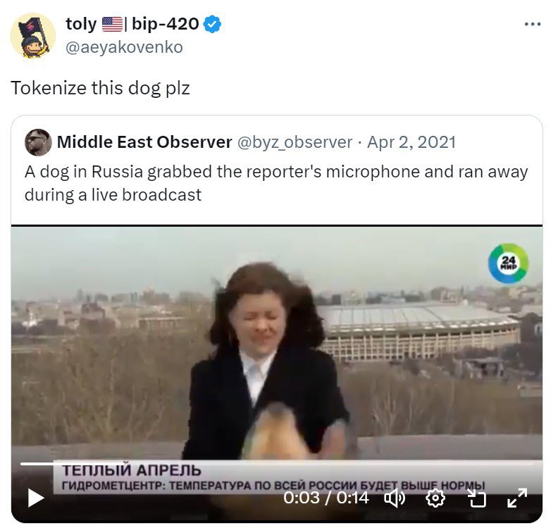 turf_sol's tweet photo. @shahh you wanna buy $MIC instead. Its literally a dog wif a mic https://t.co/otlO1Lvev9