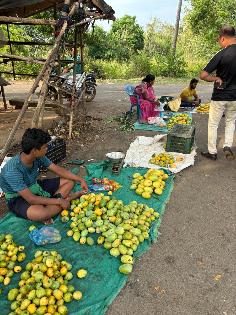 Mango🥭 #mango every where...a rural haat near #Rambha 

#Fruits #Summer #Seasonal #Healthy #FarmFresh #Village #Odisha #OdishaTrails #Travel #India #IncredibleIndia #IndiasBestKeptSecret #Orissa