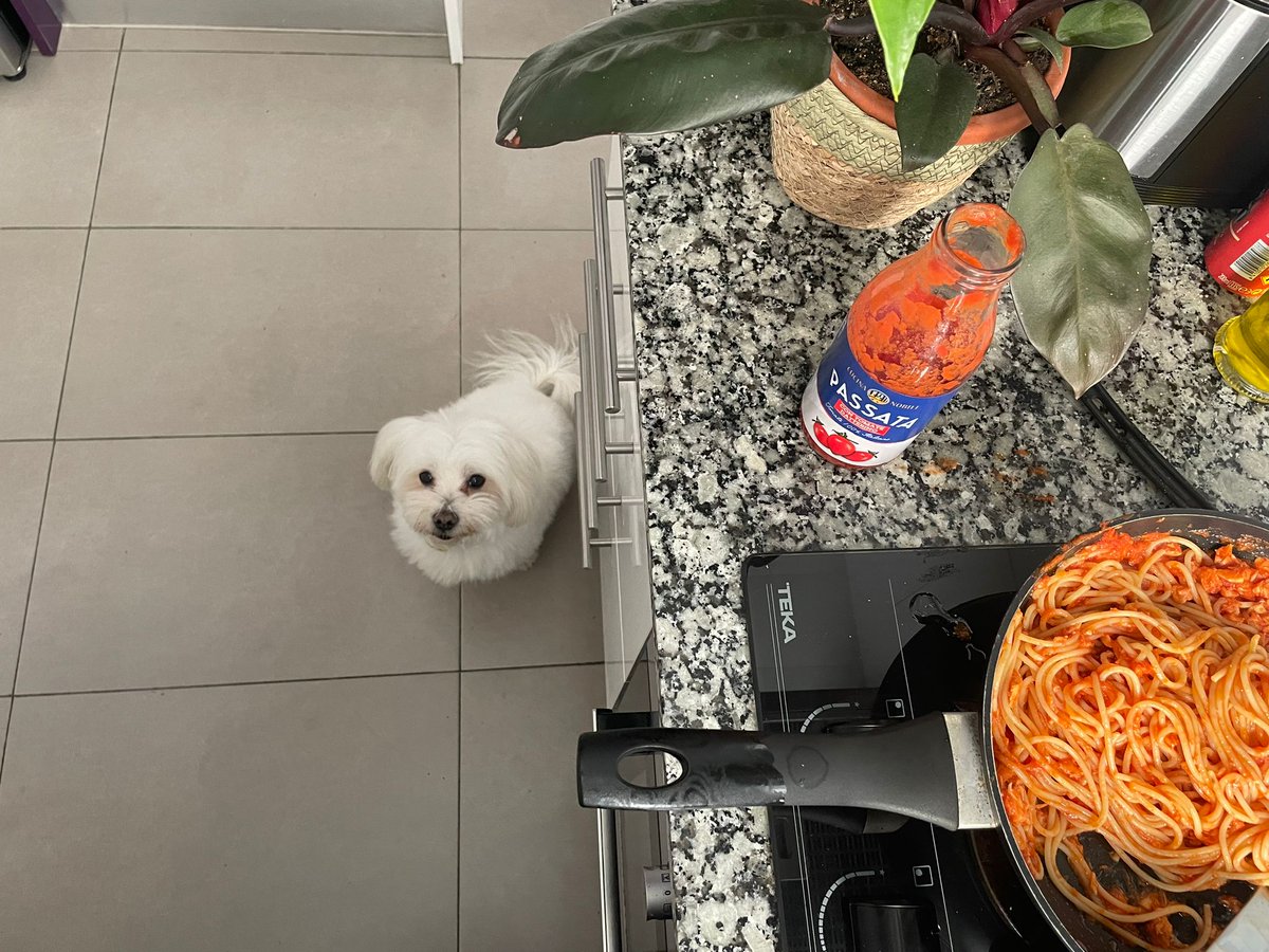 Are those spaghetti for me?