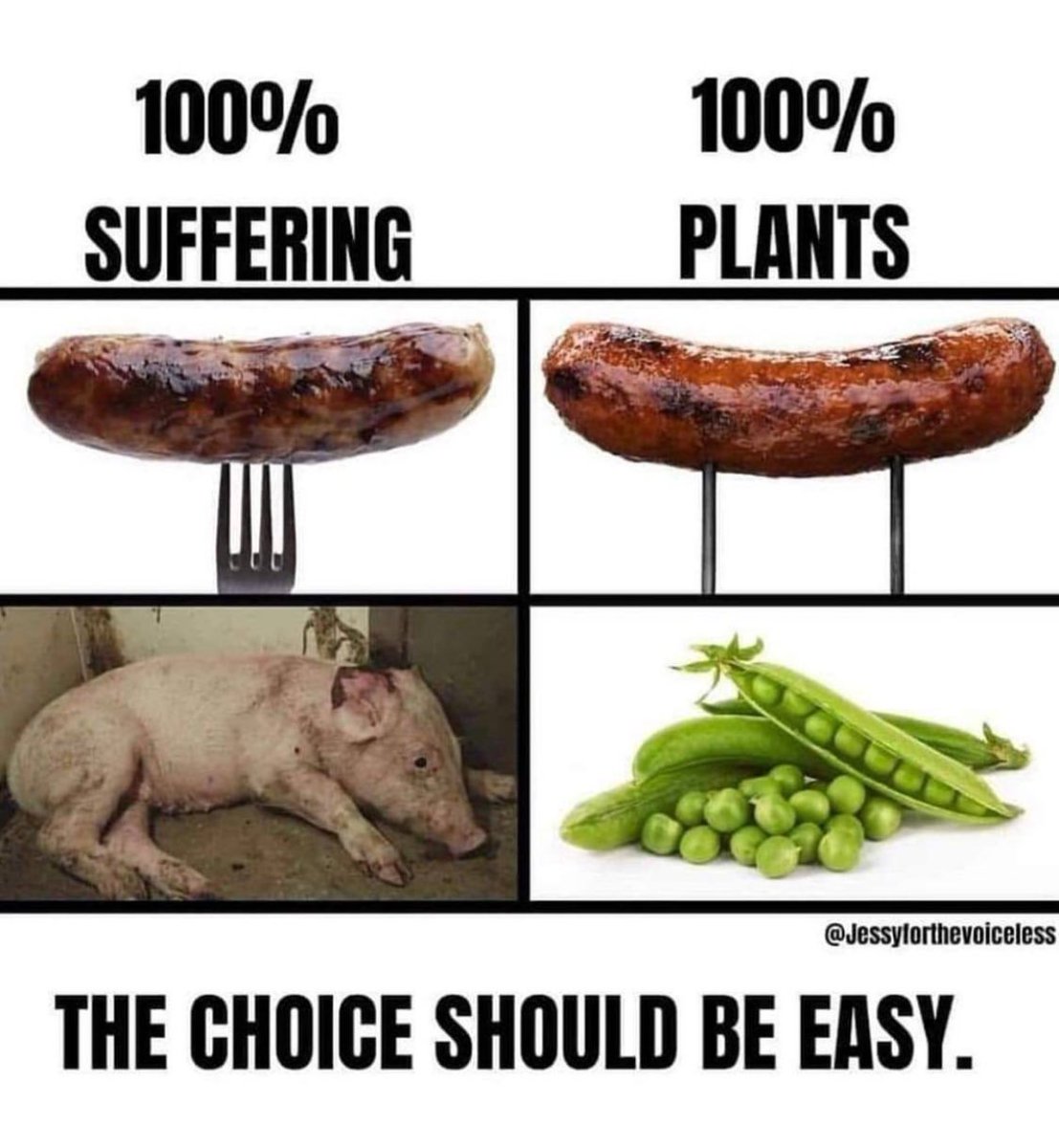 The choice IS easy when you value the lives of other sentient beings.

Being anti oppression shouldn’t be controversial. #AnimalRights #Vegan