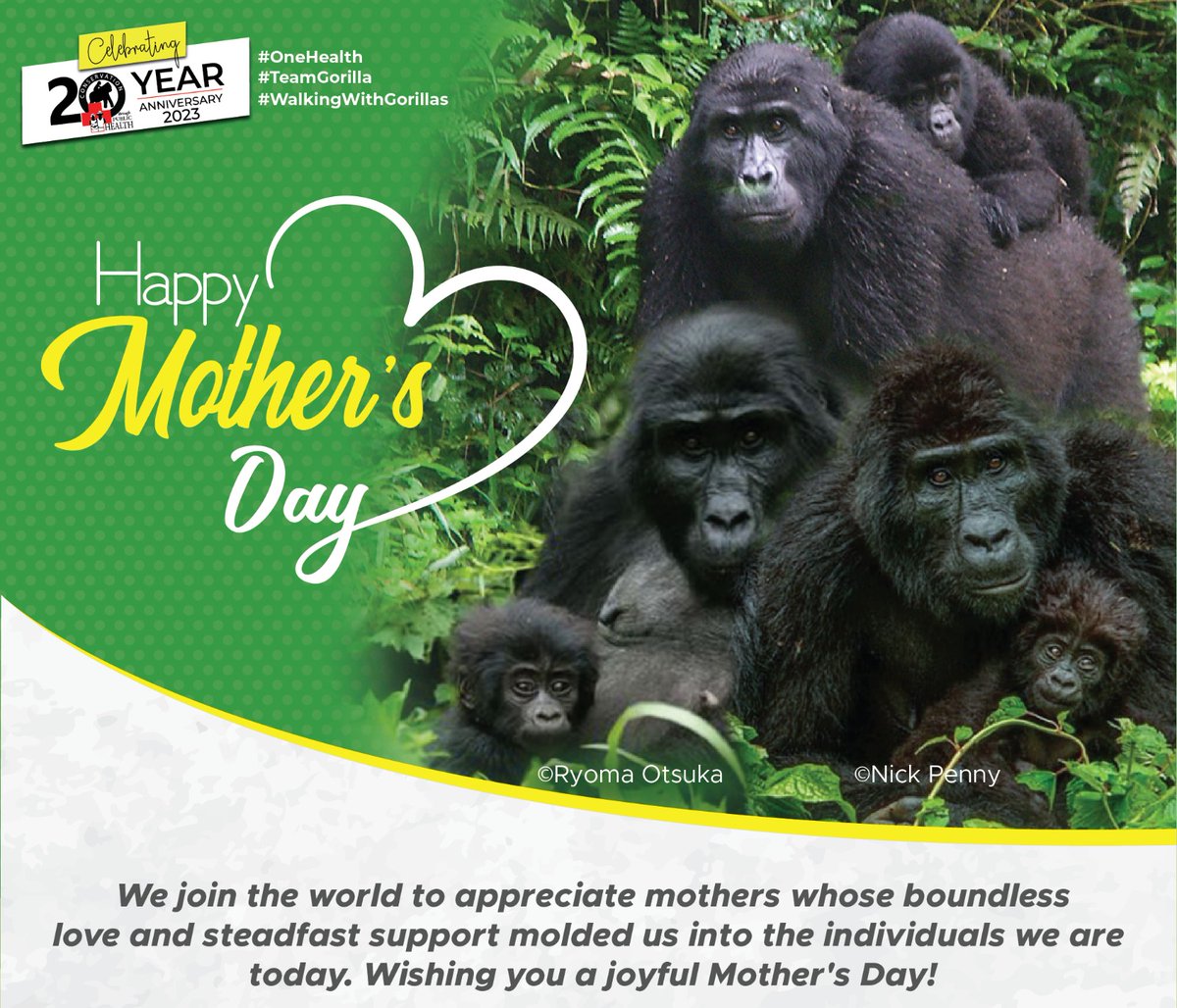 Sending our love and gratitude to our mums who have always been our guiding light. Happy Mother’s Day. #MothersDay #OneHealth #WalkingWithGorillas