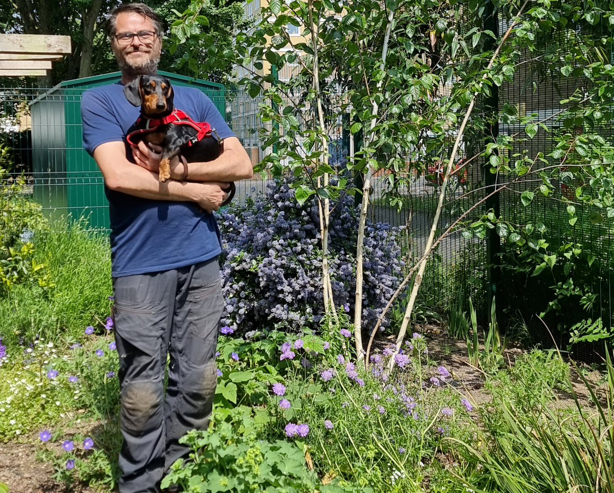 Many inspiring #London projects are transforming public spaces into vibrant community gardens for people and pollinators. Many struggle to survive. @Duke_Nuke breaks the mould with @grow_n22 - a thriving CIC adding ecological stepping stones to a green corridor in Harringay.