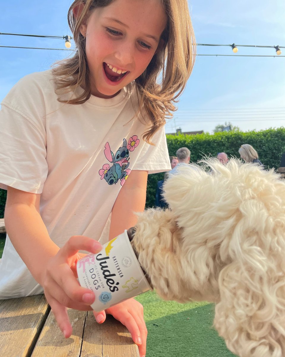 Sunday is a smiles-on-faces (and tail-wagging) day ☀️

#DoggyIceCream #SundayFunday #DogFriendly #FamilyFriendly