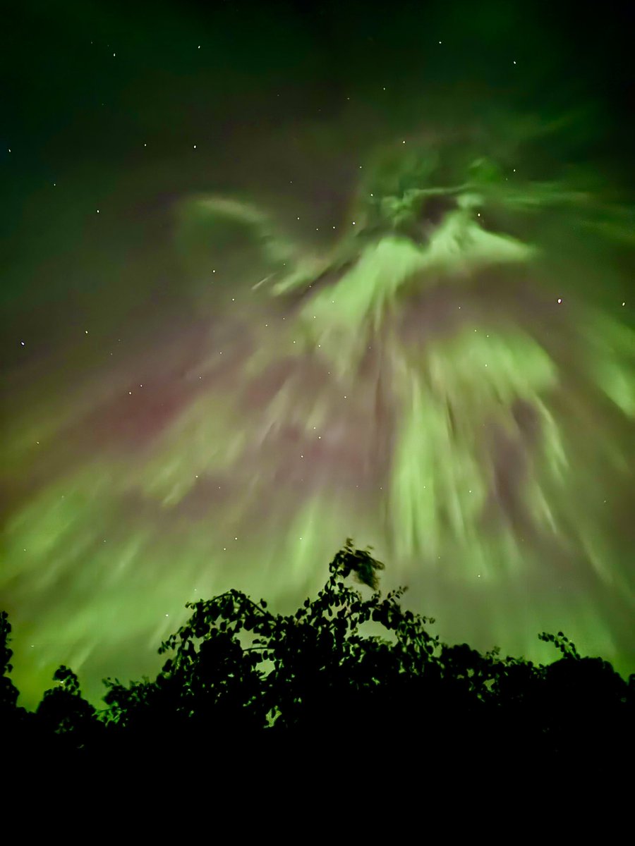 Div1Sld's tweet photo. So glad I saw the #Auroraborealis over Vancouver, Canada https://t.co/33AYrV4mUp