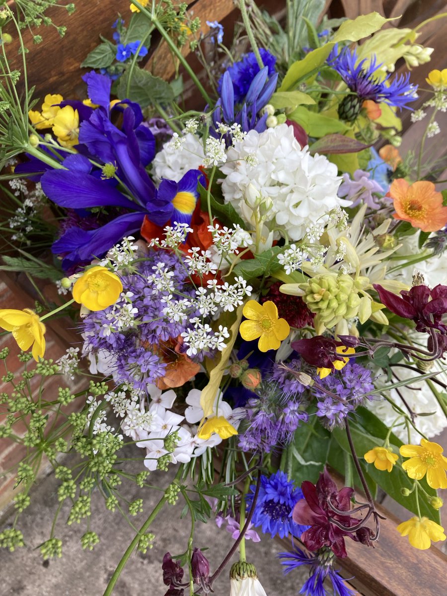 In other news I feel a Summer bouquet to cheer us up!! Lovely Iris Geum Buttercup Alkenet Phacelia! Stay safe there’s a storm a brewing!!!! #britishflowers