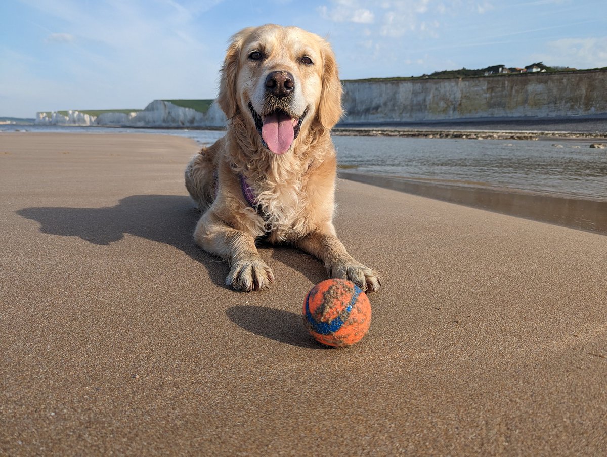 Such a happy Martha! 💕☀️🌊