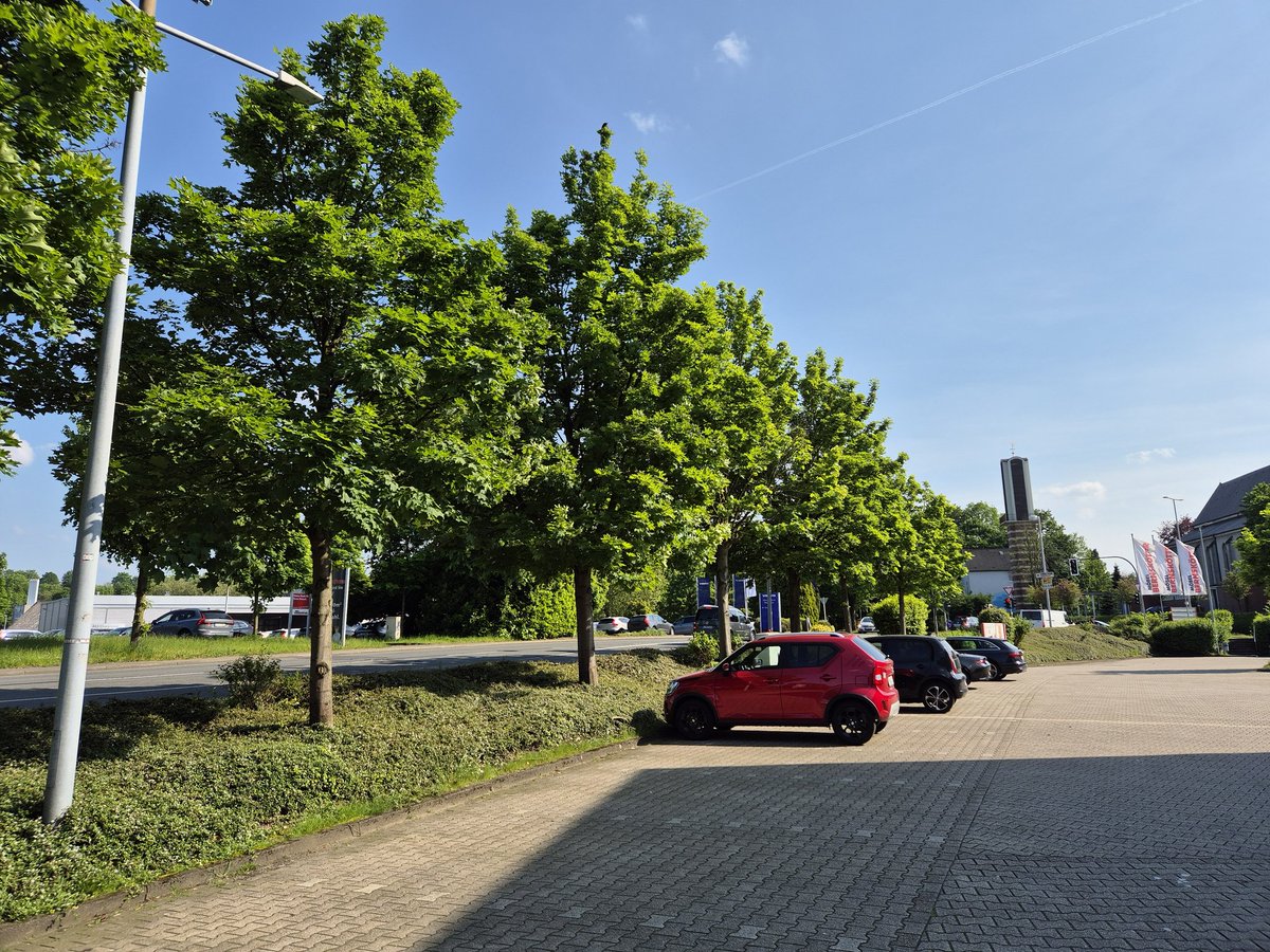 europe3330's tweet image. Eine grüne Parade der Hoffnung für Dich... #SpringHasCome