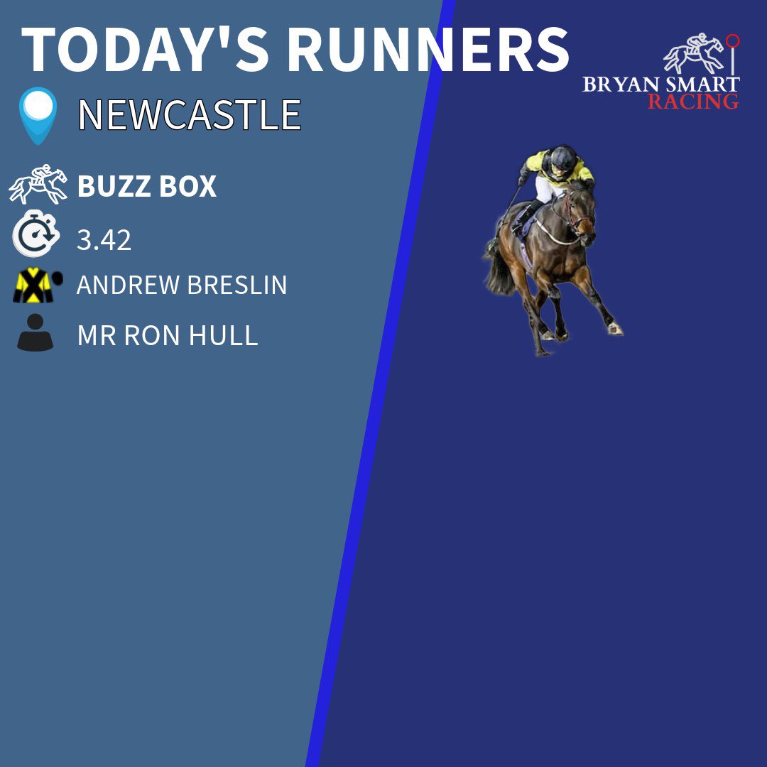 Buzz Box runs today at Newcastle. Good luck to all connections! #TeamSmart