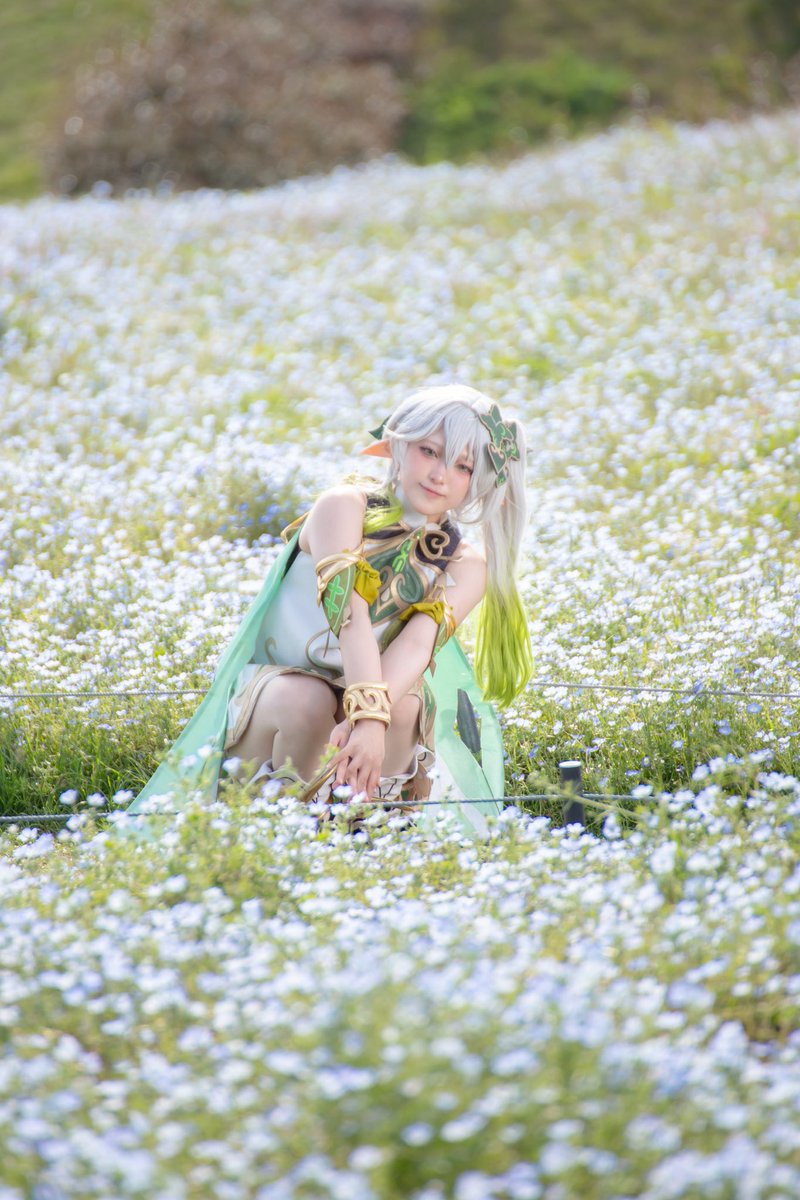 【Cosplay】
原神/ナヒーダ🍀* 

することがないなら、私が遊びに連れていってあげましょうか？

※タップ推奨
 #genshincosplay

#海ノ中道戦前0504 
#エガさんまた車乗せてくれてもいいよ