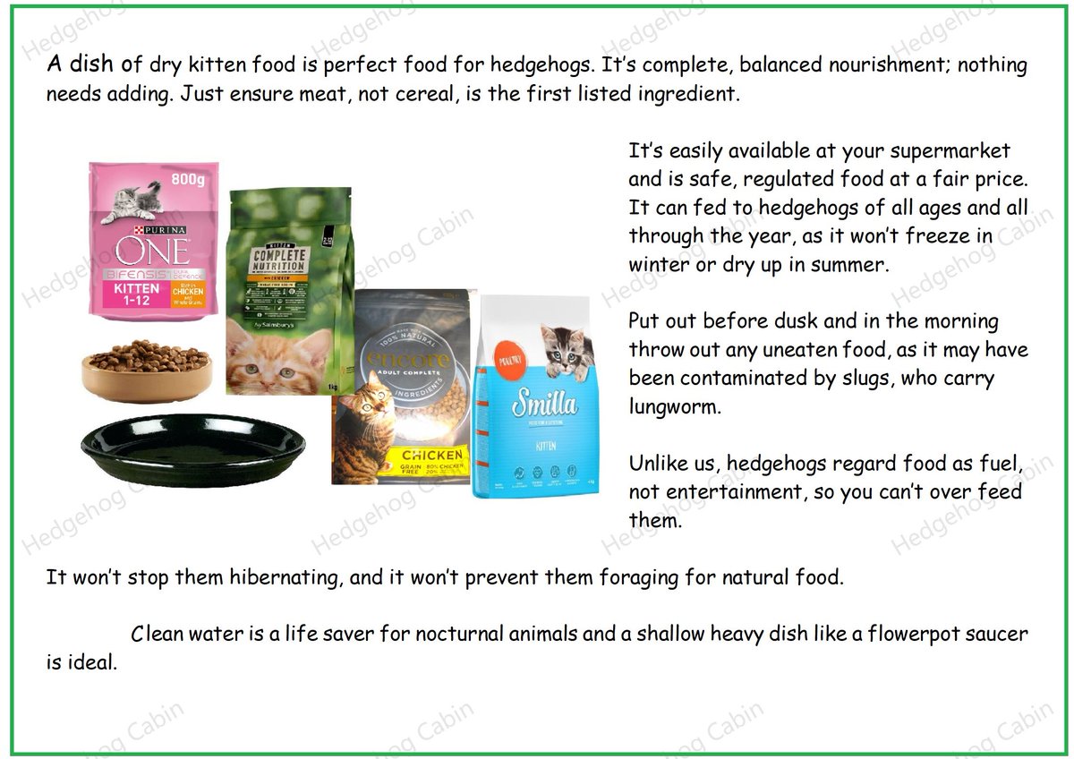 @ginnym63 @hedgehogsociety @cumbriawildlife Some people worry that providing food will prevent a hedgehog from foraging naturally. Such utter nonsense!😁 Foraging is hardwired into them - a dish of cat kibble can't undo 15 million years of evolution! Hedgehogs will ALWAYS prefer their own natural food of beetles, insects