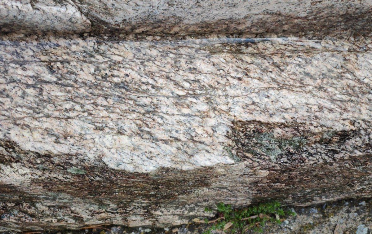 #Salamanca Estructuras S-C #Granitos #Juzbado 
#Geolodia24 
<a href="/sgeologica/">Soc Geológica España</a>
<a href="/GeolodiaES/">Geolodía</a>