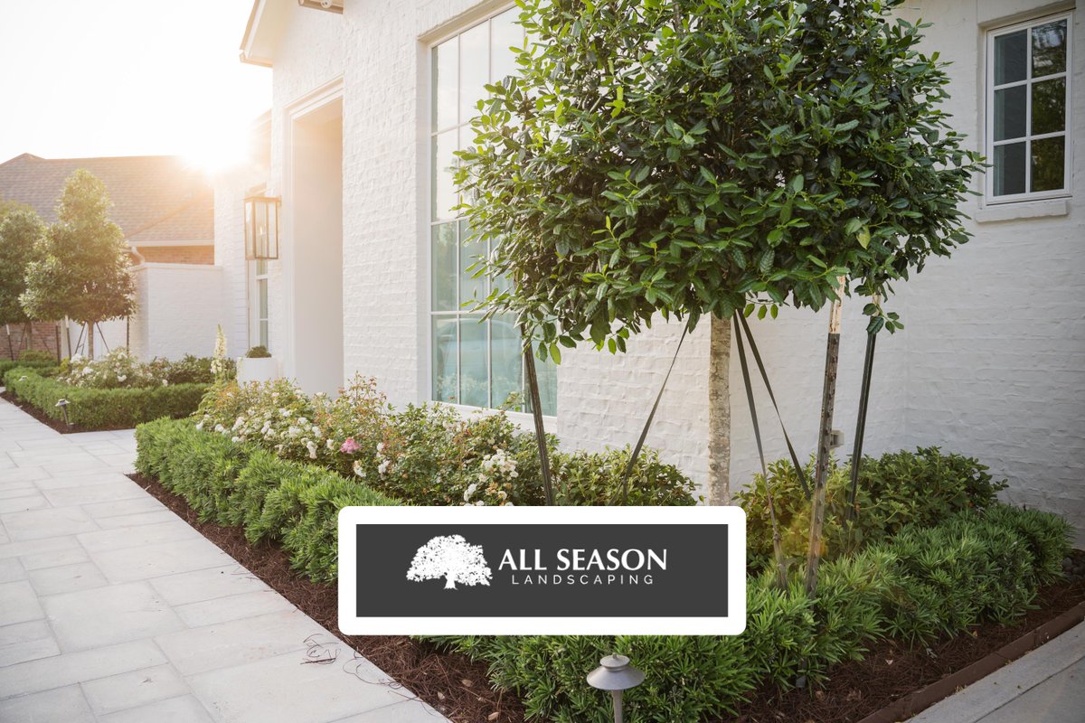 Upgrade your lawn with All Season Turf and enjoy a maintenance-free, lush green oasis all year round! 🌿 #AllSeasonTurf #LandscapeGoals Visit our website to learn more ayr.app/l/e8z3/