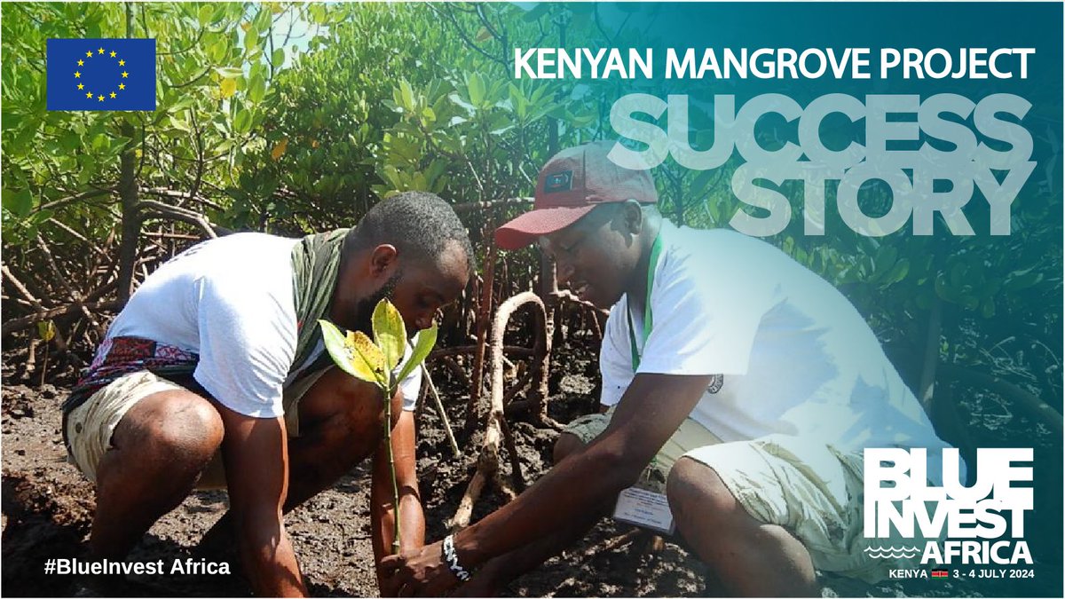 🌱 Rediscovering #mangroves in #Kenya—a BlueInvest Africa 2022 success! 🌿 

Gazi’s community transformed degrading mangroves into thriving ecosystems through carbon credits & local initiatives 

🌐 Read more bit.ly/Kenyan-mangrov… 

#SustainableDevelopment #BlueEconomy