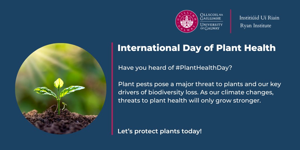 🌱 Happy International Day of Plant Health! Plants are vital for life on Earth. Let's raise awareness about their importance, prevent plant diseases, and ensure a healthier, more sustainable future for our planet. 🌿🌻 #PlantHealthDay