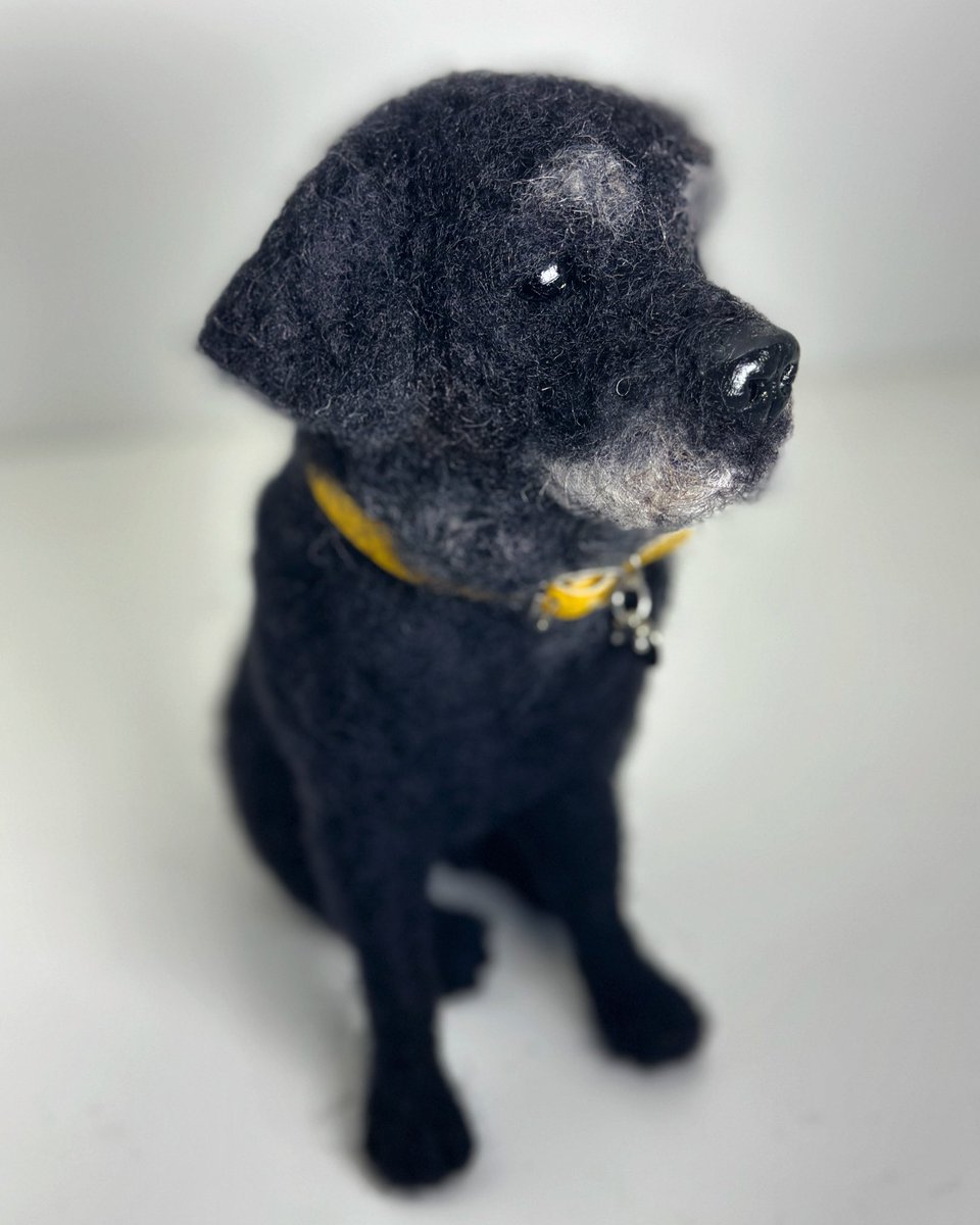 Fiona Finlayson Art tweet media