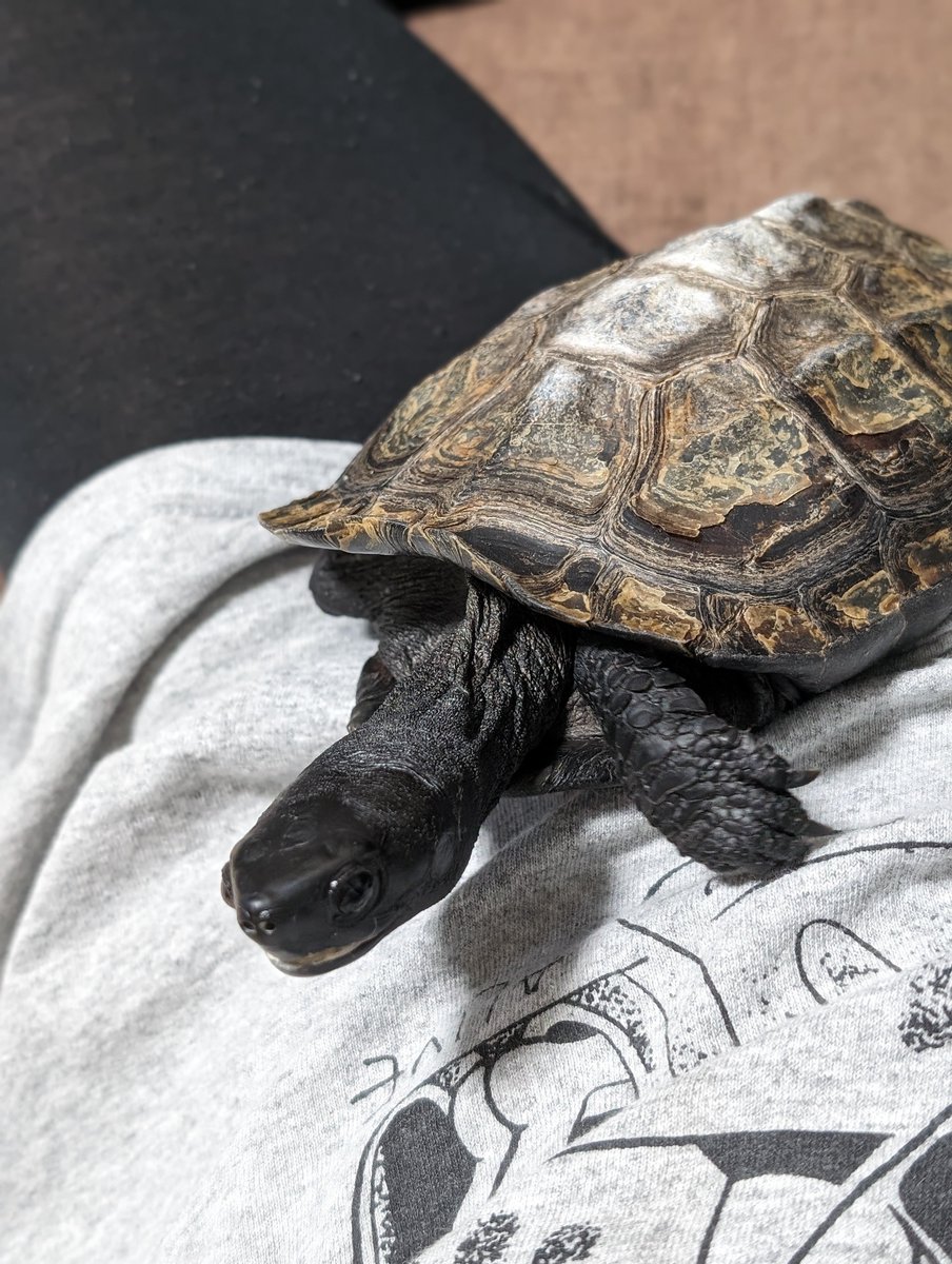 今日もブン太と2人でまったり〜
