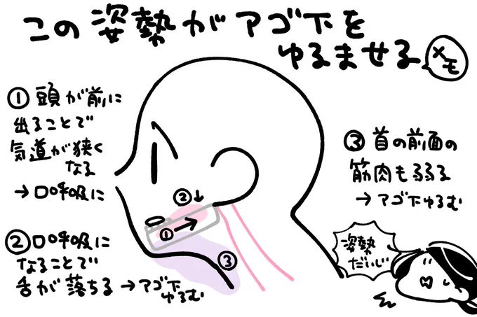 アゴ下のたるみと姿勢の関係性について、昨日理学療法士のしもぞの先生( )にいろいろ教えてもらったのでメモ頭が前に突き出してる姿勢は・下アゴの骨が後ろに引っ張られる→気道が狭くなって自然と口呼吸になりやすい・口呼吸になると舌が落ちやすい→アゴ下の筋肉ゆるむ… 