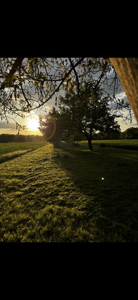 Muz z Brna mi posekal pole .. #nedele