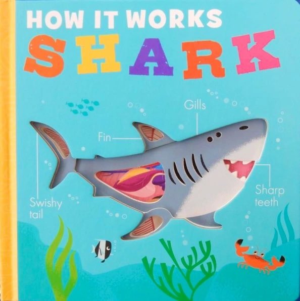 JillBennett18's tweet photo. It’s #boardbook Sunday again on #RedReadingHub blog and featured are two new @LittleTigerUK titles #HowItWorksShark @mollylittleboy illus. #davidsemple and #DontEverLaughataLadybird @Hat_tea_Evans illl #michaelslack https://t.co/VUFReaWPZH https://t.co/H3cuVmal8L