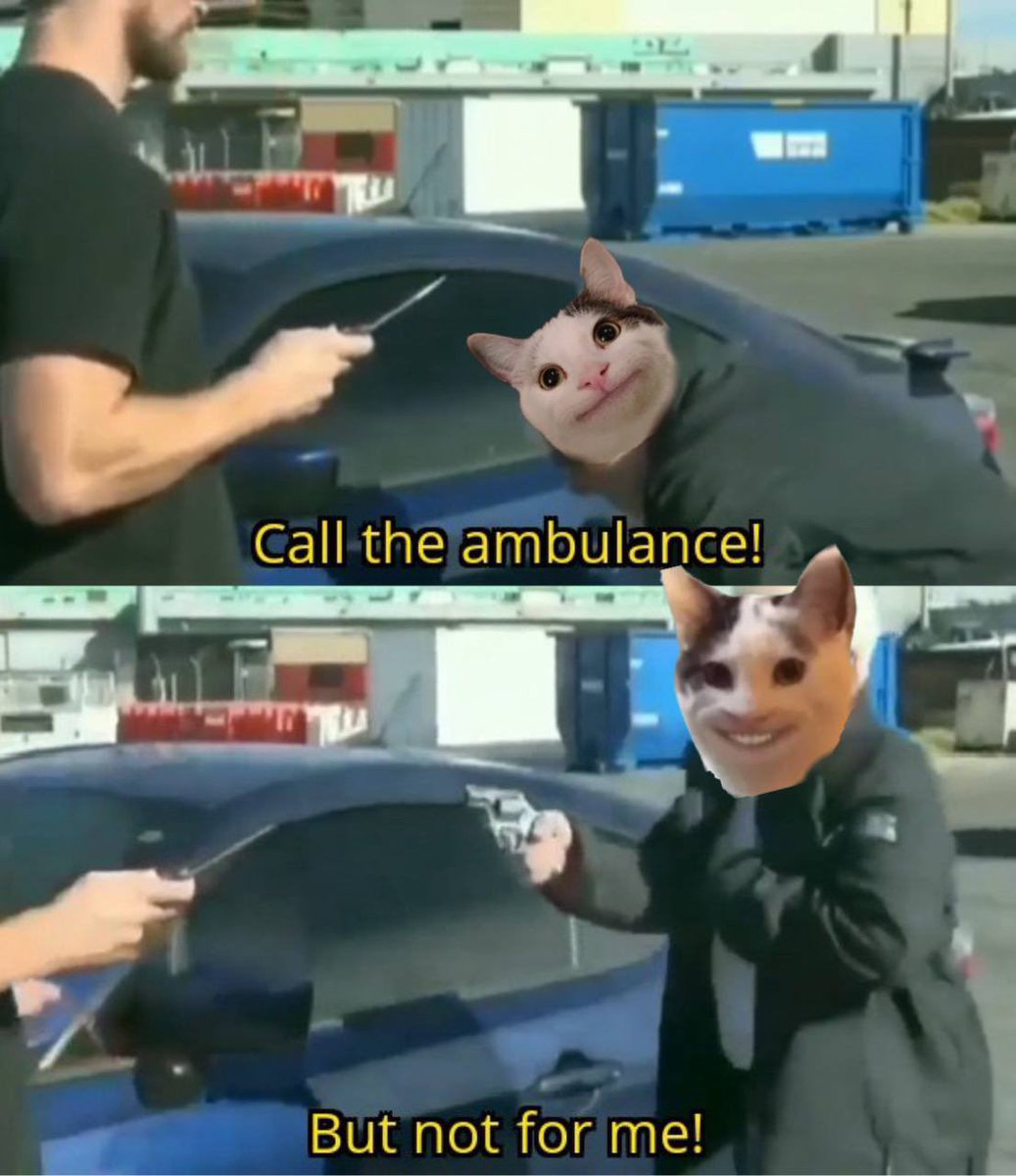 @dj_budsol I guess $BELUGA will be King this #memecoin Season 😁