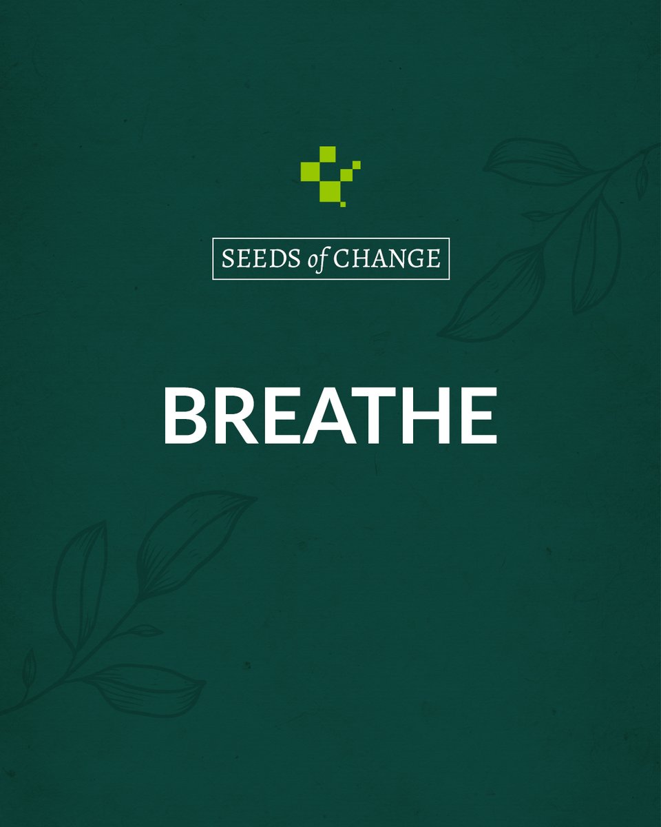 Take deep breaths and practice mindfulness. Because sometimes all you need is a little moment of calm in a hectic world.

#SeedsOfChange #JustBreathe #MindfulnessMatters #FindYourZen