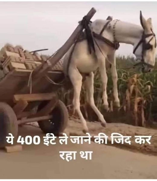 इसको भी घमंड था 400 ईंट लाने का .. लटक गया ना हवा में....😄😄😄